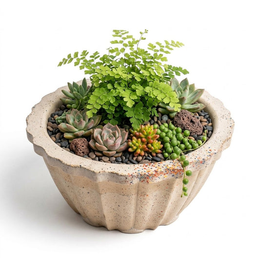 Studio Line Lotus Planter arranged with succulents and a fern