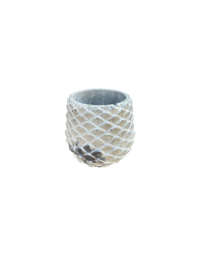 Lunar Scales Planter