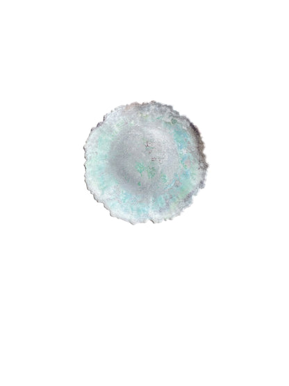 Studio Line Godet Plate