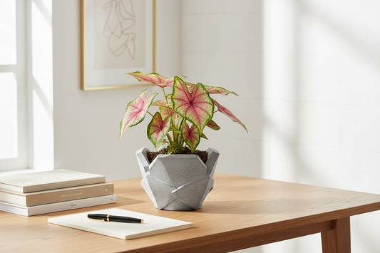 Lunar Origami Fold Planter
