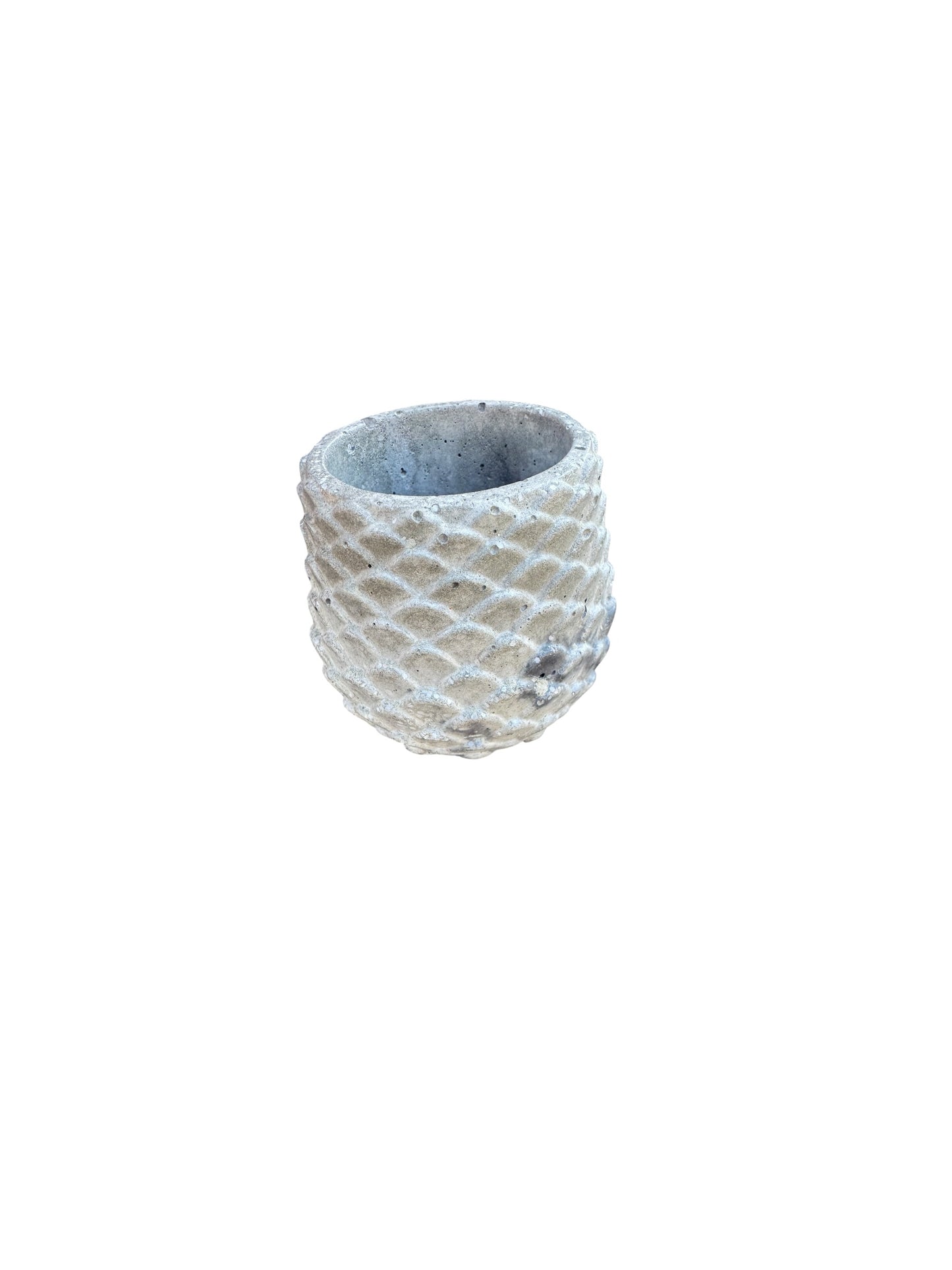 Lunar Scales Planter