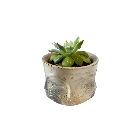 Celestial Faces Planter – product view 2 of a handmade concrete planter